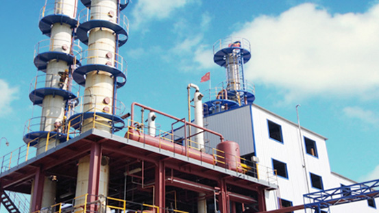 Bet16������