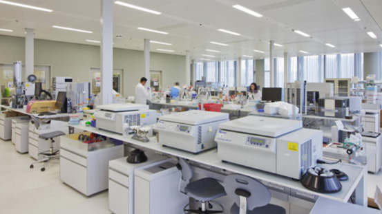 Bet16������