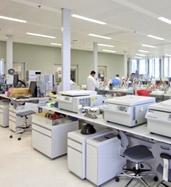 �����Ŷ�